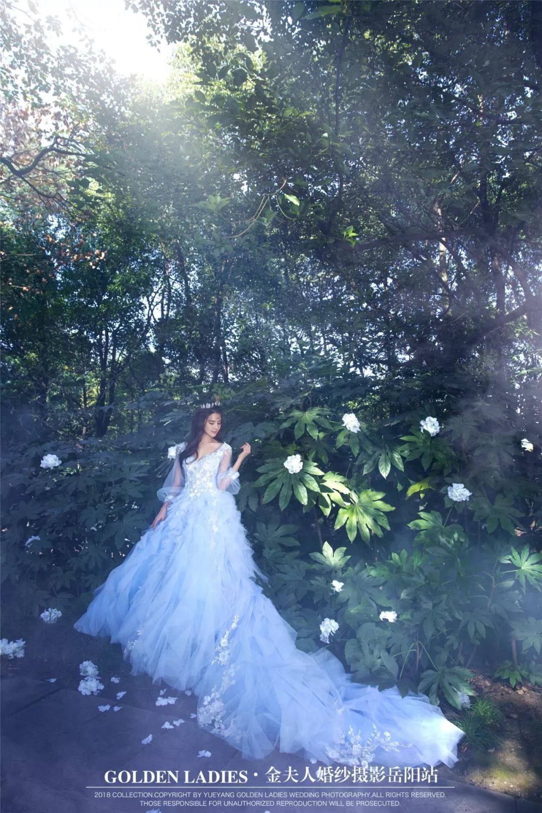 【金夫人の风格志】最适合盛夏拍的森系主题婚纱照,你get到了吗?